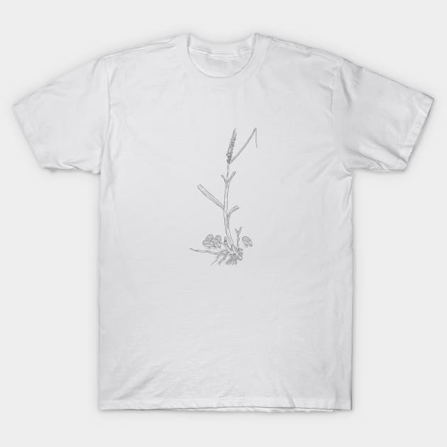 Spartina-Geukensia line art T-Shirt by DashingGecko